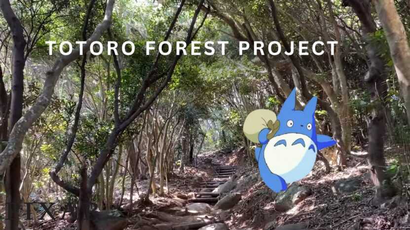 The Totoro Forest Project